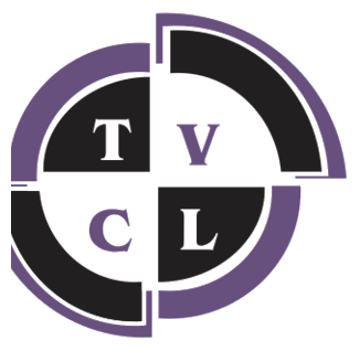 Time Value Consulting Limited logo